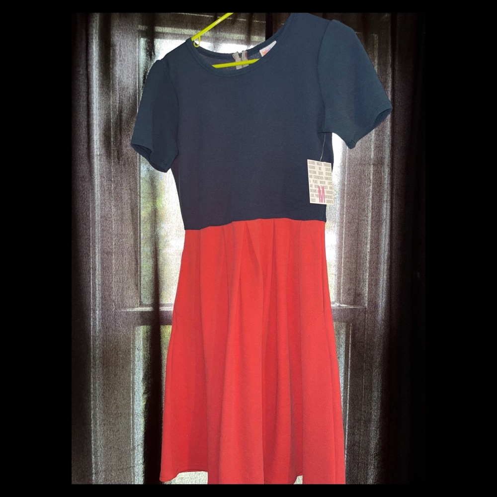 LulaRoe Amelia dress